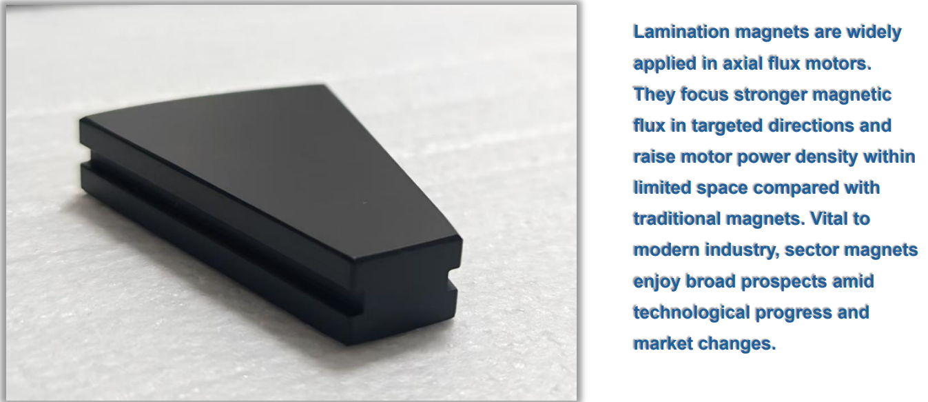 Sintered NdFeB magnet irregular shape 01
