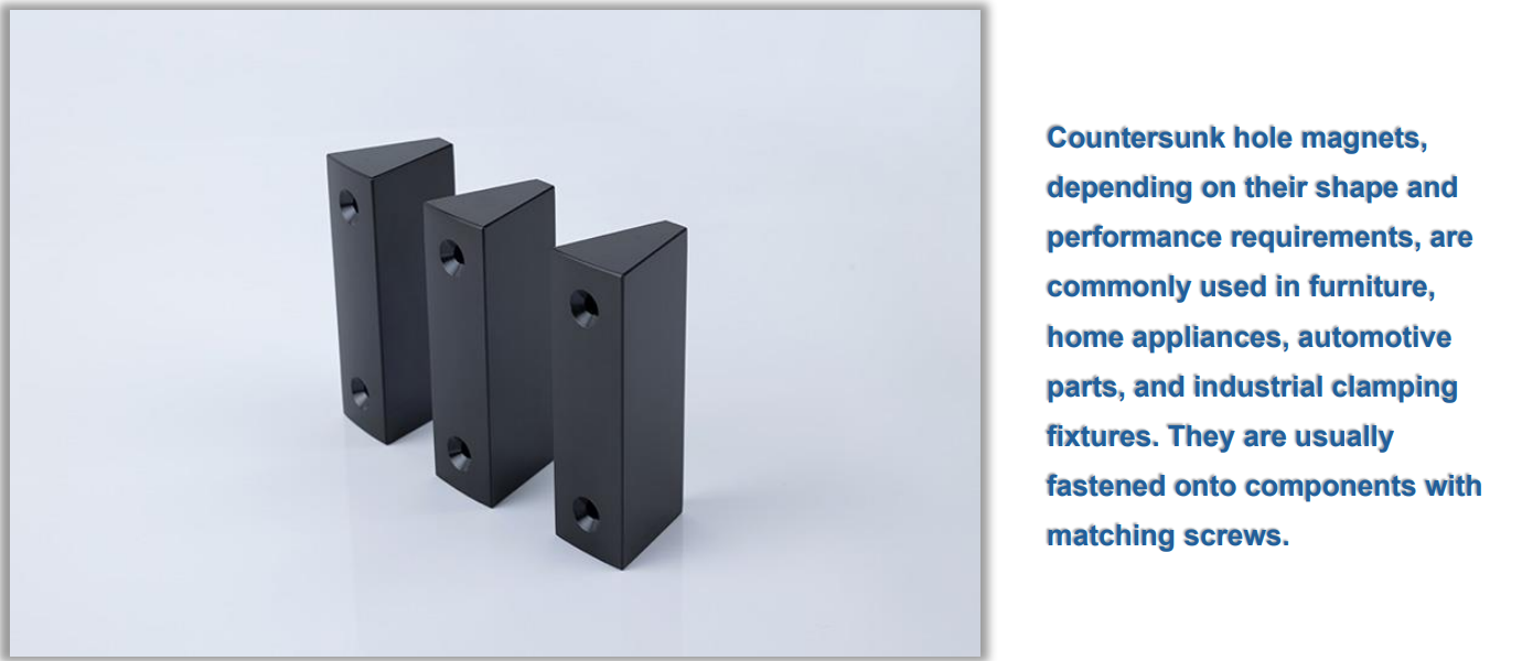 Sintered NdFeB magnet irregular shape 03